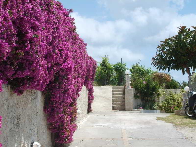 Villa Natalina Forio di Ischia Екстериор снимка